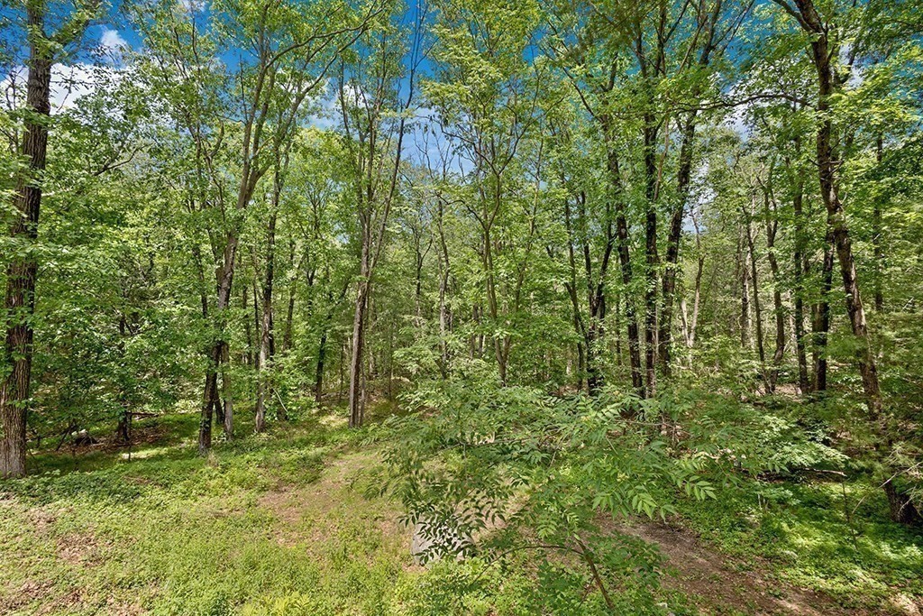 139 Stoney Lea Road Dedham, MA 02026 - Photo 28 of 29