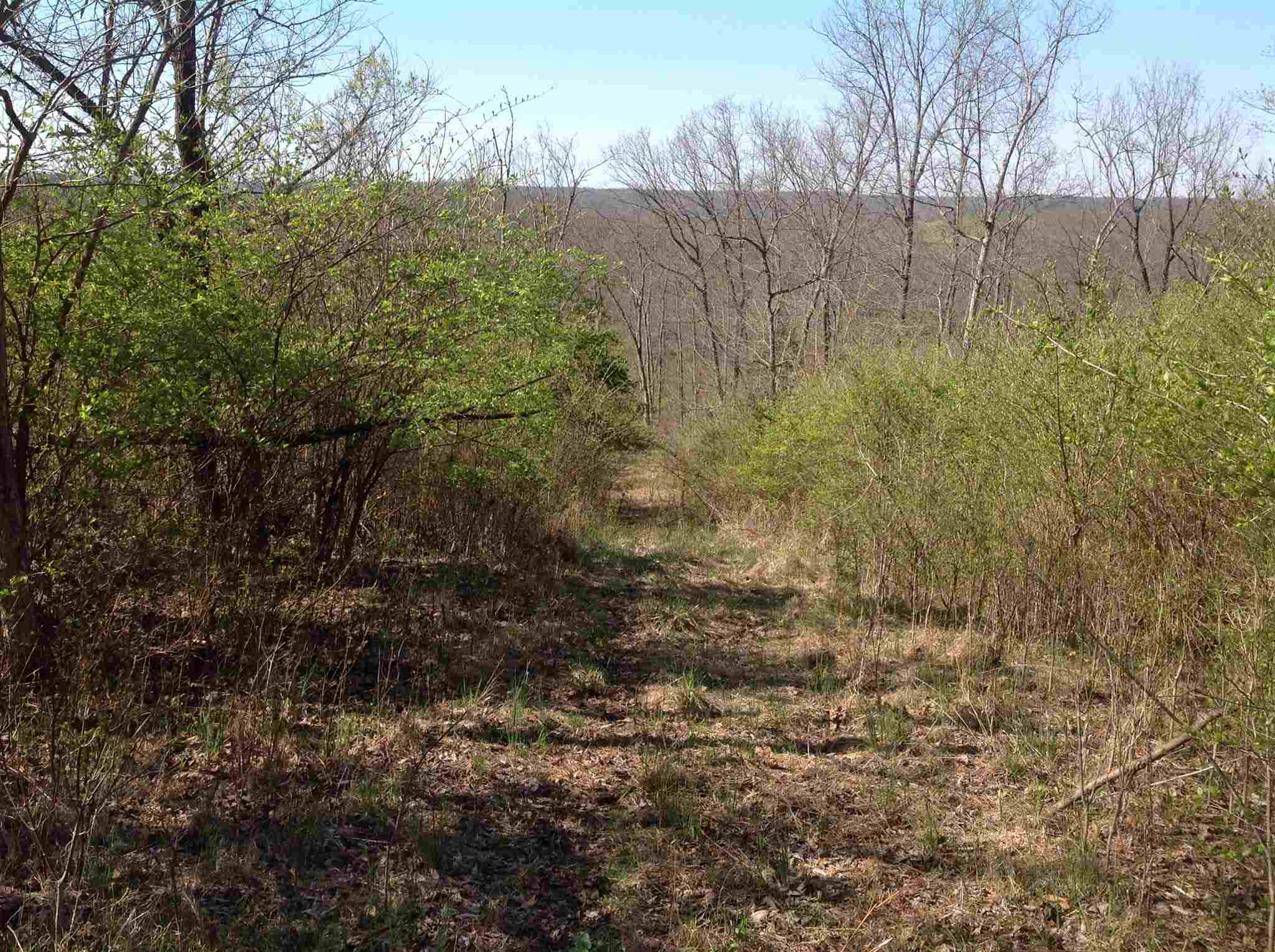 0 Johnsville-Foster Road Foster, KY 41043 - Photo 16 of 18 Gallery Image 16