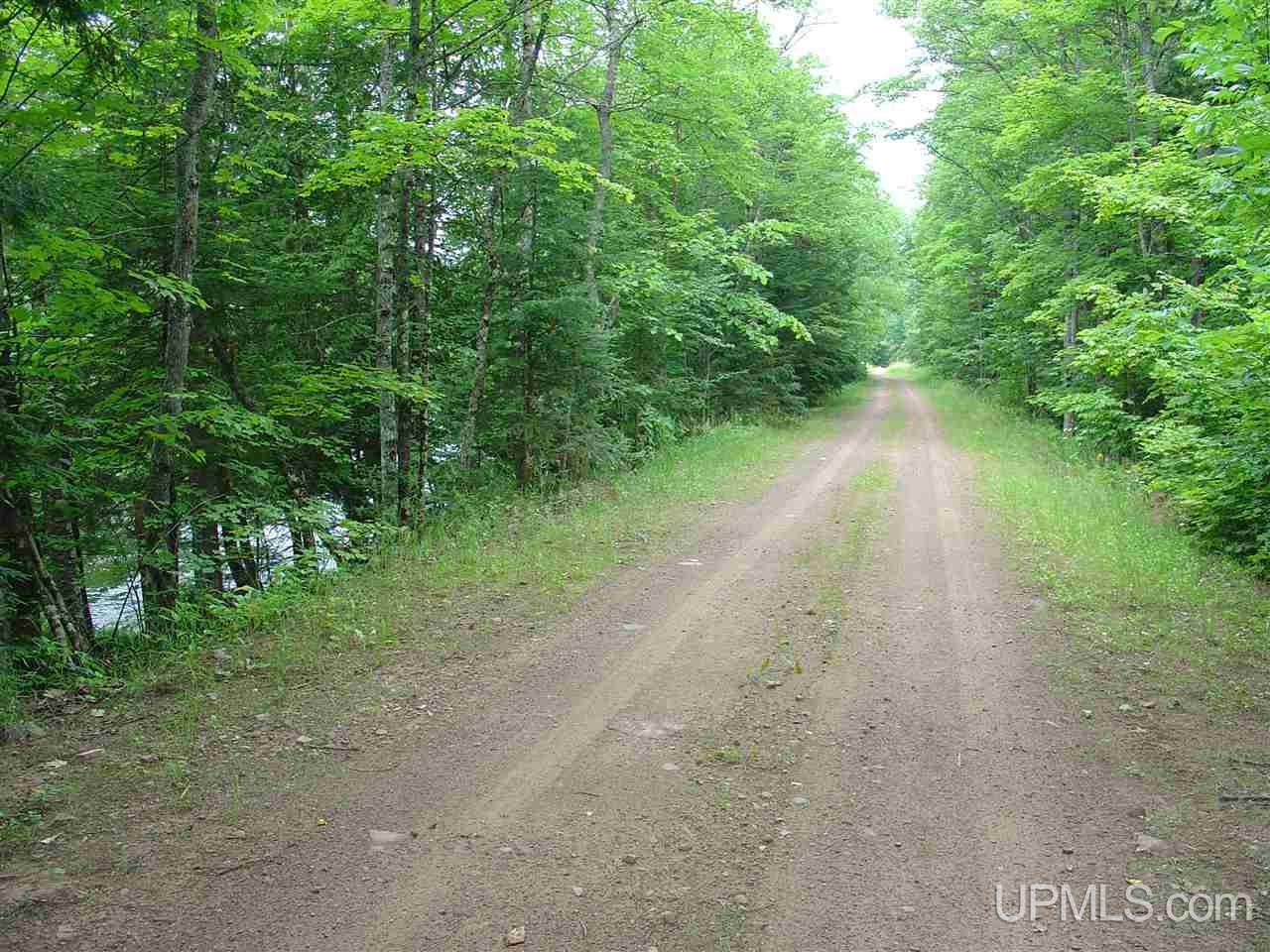 Off Ethelwood Grade Road Marenisco, MI 49947 - Photo 9 of 12