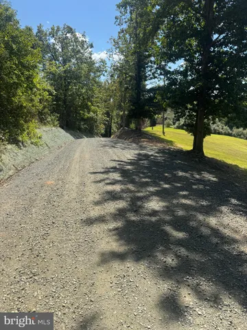 a view of a yard with trees