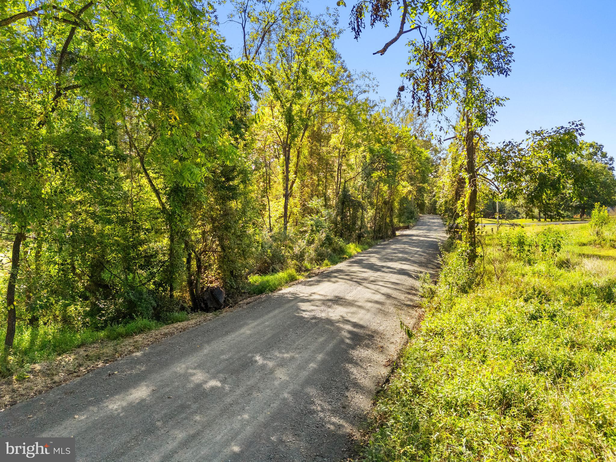 Vacant Land Cabin Branch Road Marshall, VA 20115 - Photo 15 of 28 a view of a yard with trees