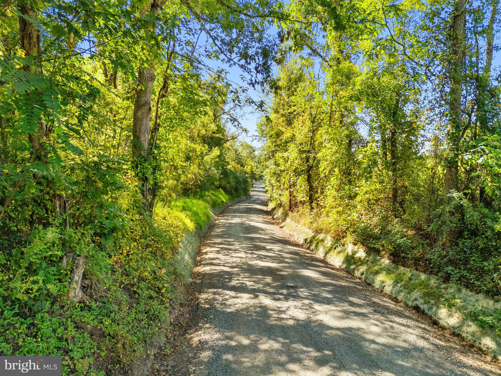 Vacant Land Cabin Branch Road Marshall, VA 20115 - Photo 16 of 28 a view of an outdoor space with a tree