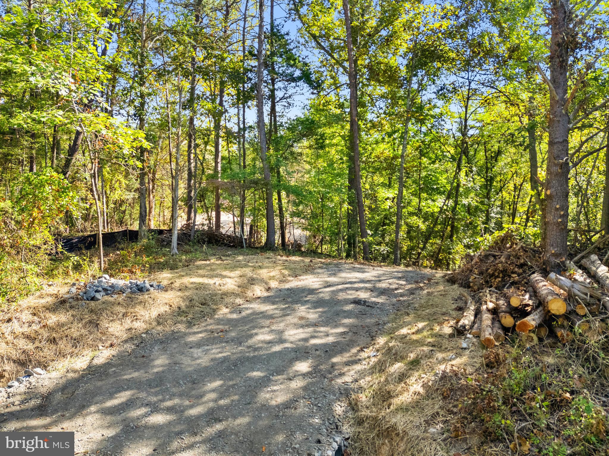 Vacant Land Cabin Branch Road Marshall, VA 20115 - Photo 2 of 28 a backyard of a house with lots of green space