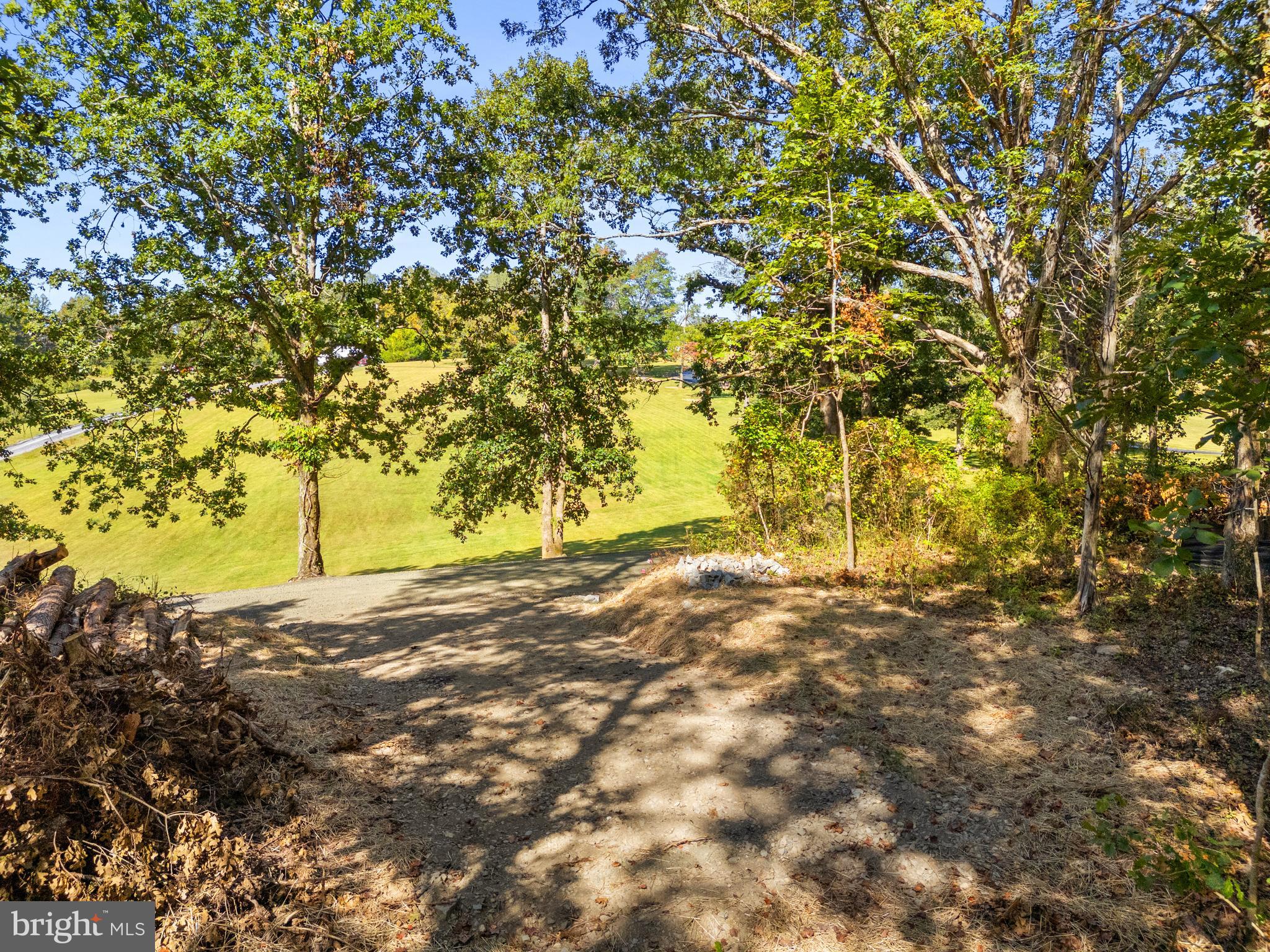 Vacant Land Cabin Branch Road Marshall, VA 20115 - Photo 24 of 28 a view of yard