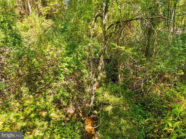 a view of a lush green field
