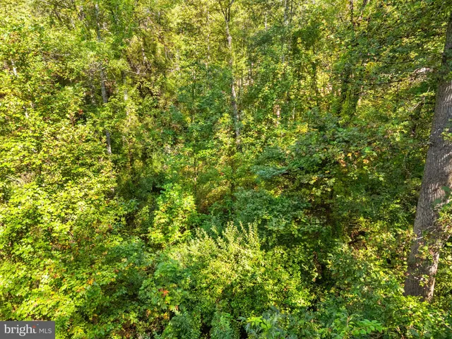 $225,000 | Vacant Land Cabin Branch Road, Marshall, VA 20115