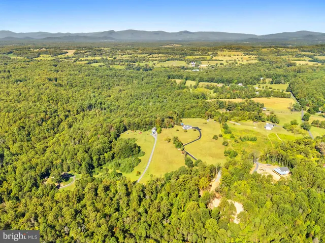 a view of a bunch of flowers in a building