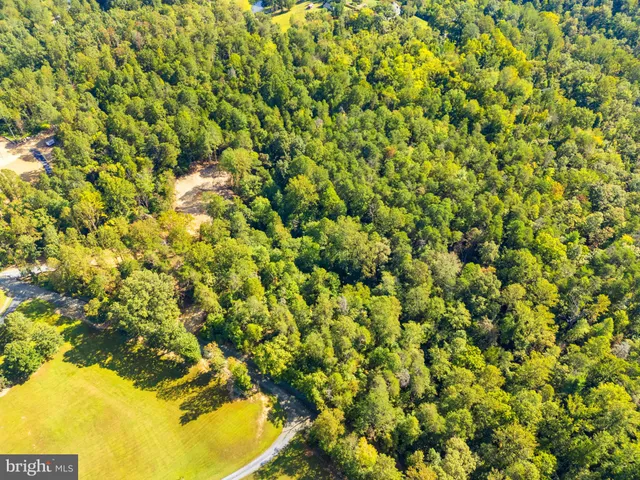 a view of a yard with plants and trees