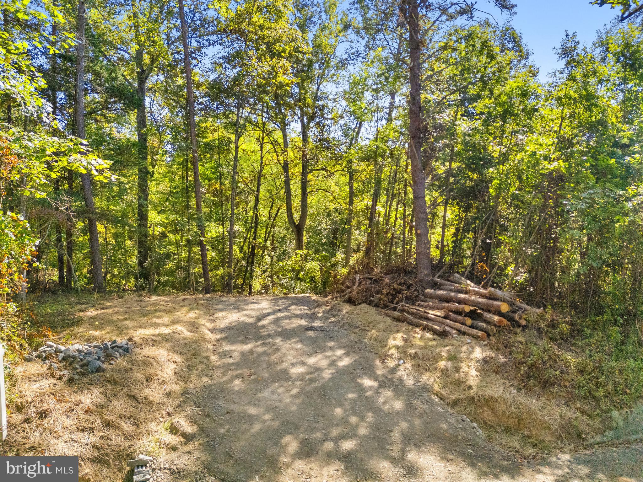 Vacant Land Cabin Branch Road Marshall, VA 20115 - Photo 9 of 28 a view of a yard with large trees