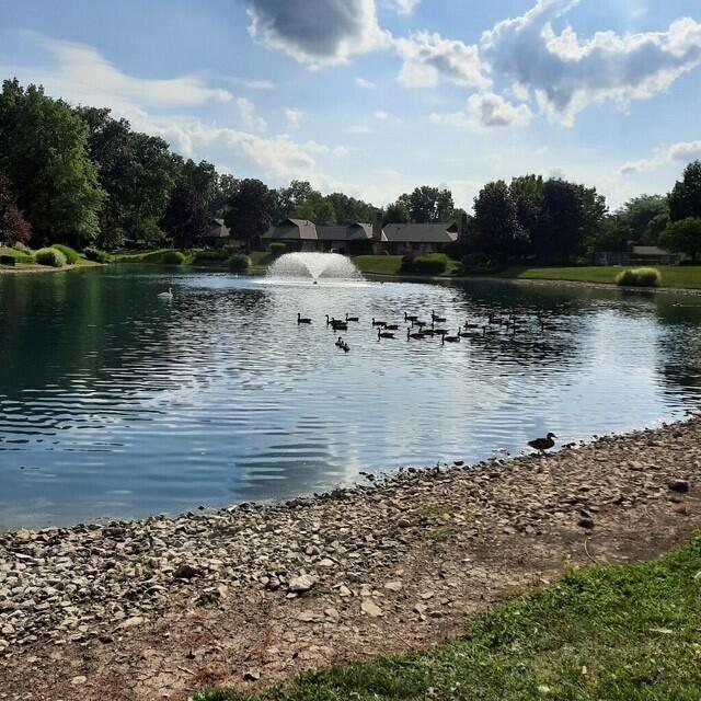 1457 Woodridge Road Marion, OH 43302 - Photo 58 of 80 Amenity - Stocked Pond