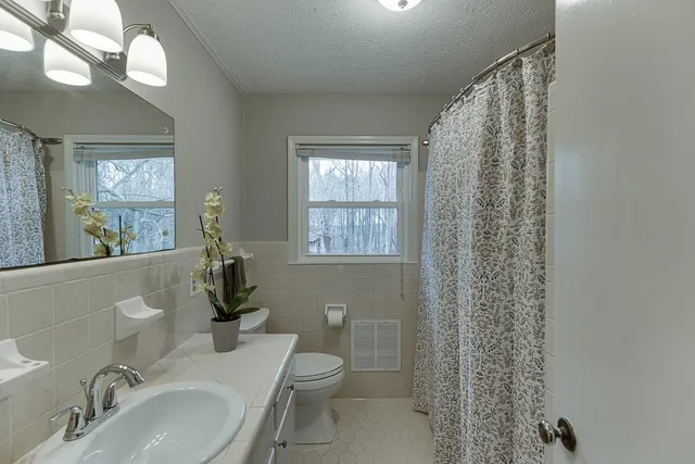 a house that has a tree in front of it