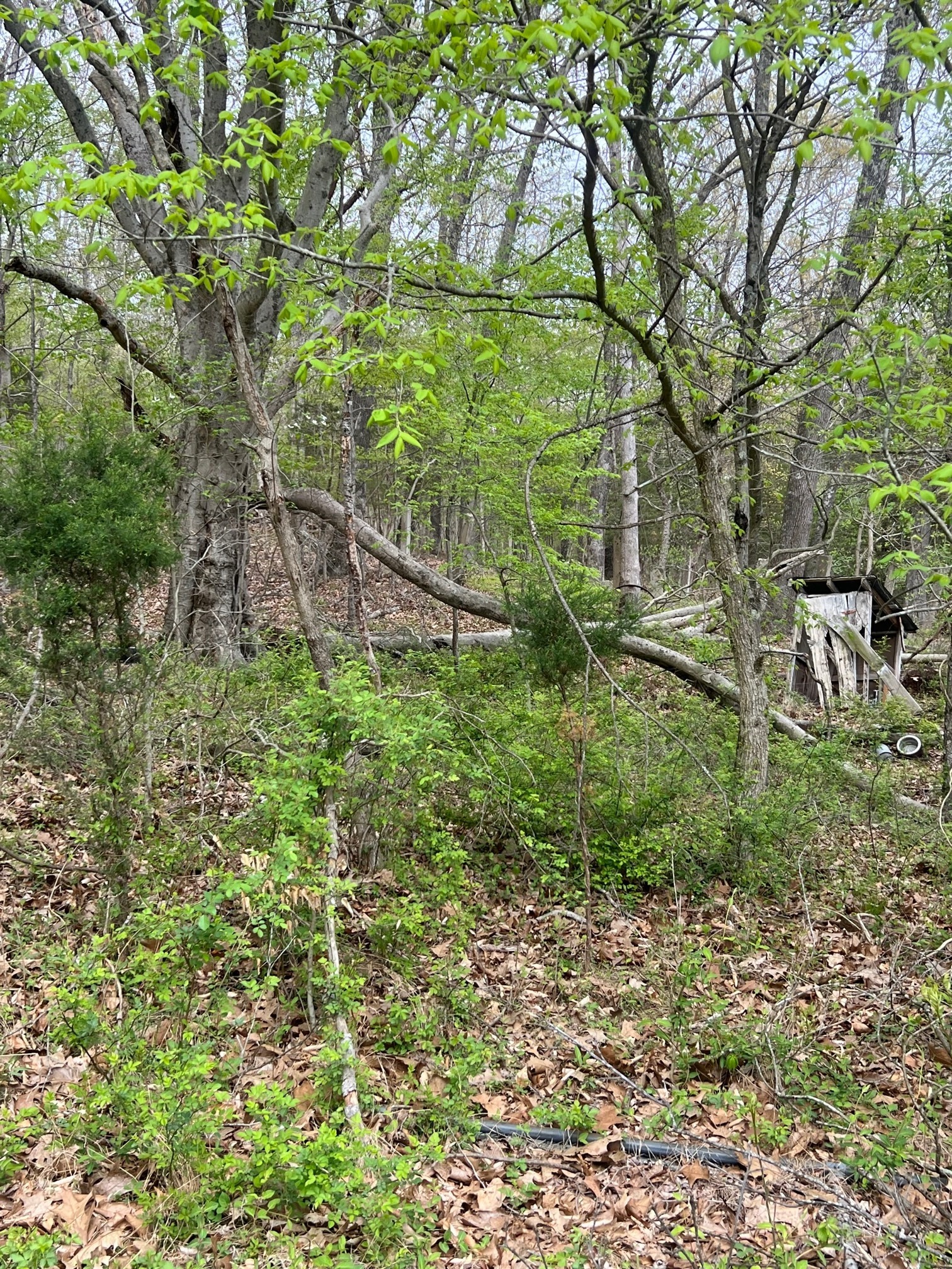 4695 East Stipp Road Bloomington, IN 47401 - Photo 11 of 22