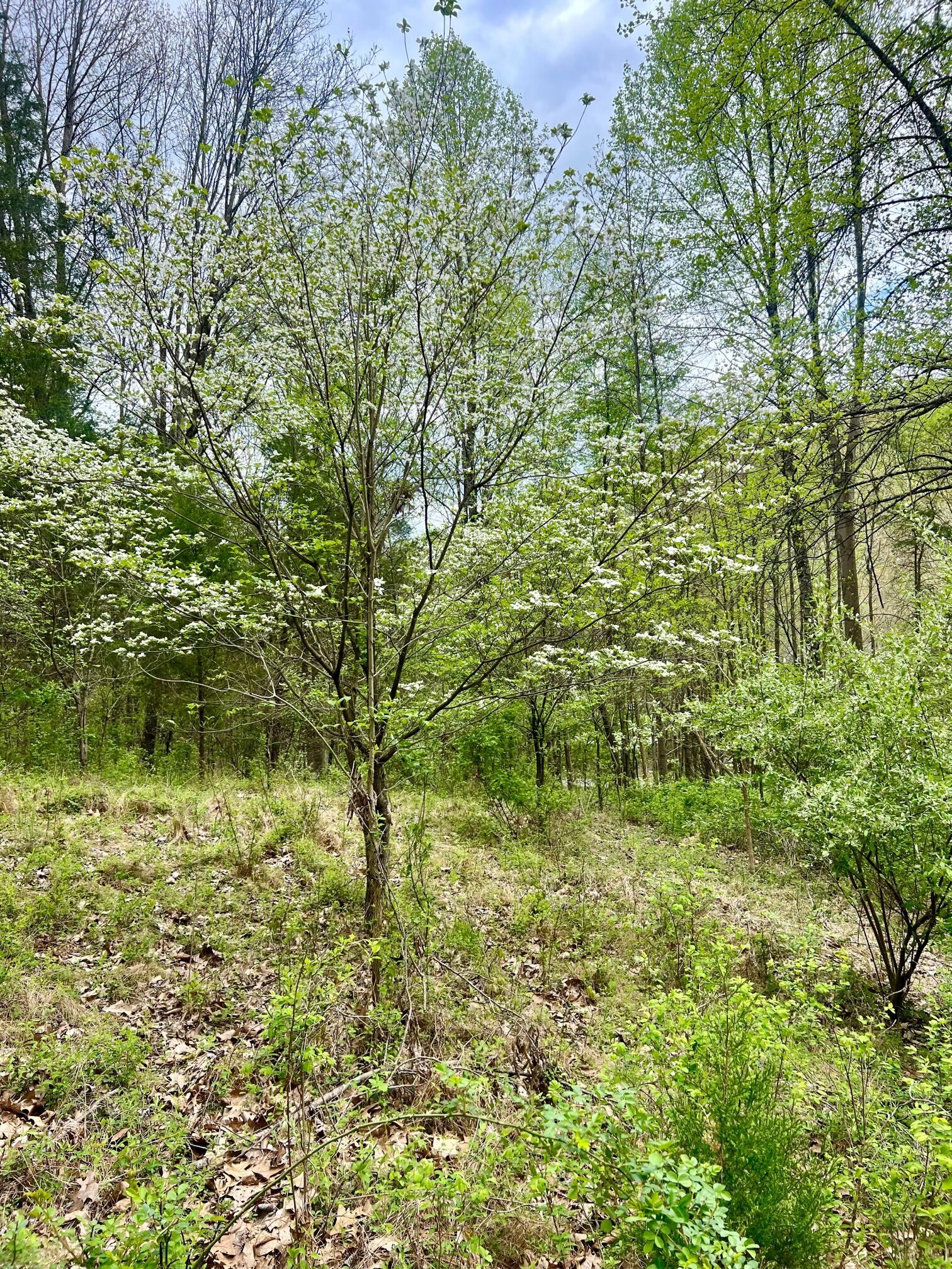 4695 East Stipp Road Bloomington, IN 47401 - Photo 15 of 22