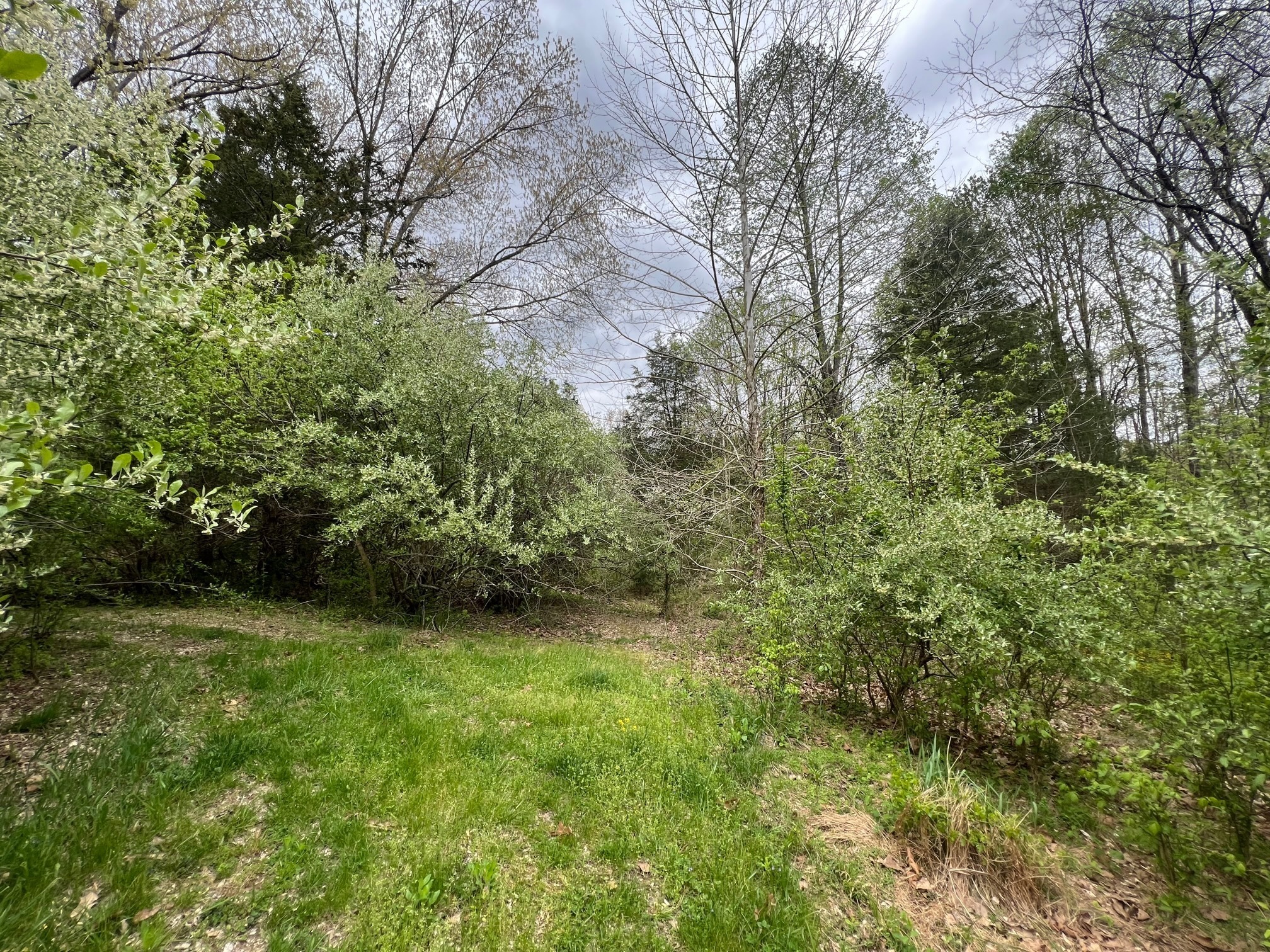 4695 East Stipp Road Bloomington, IN 47401 - Photo 2 of 22