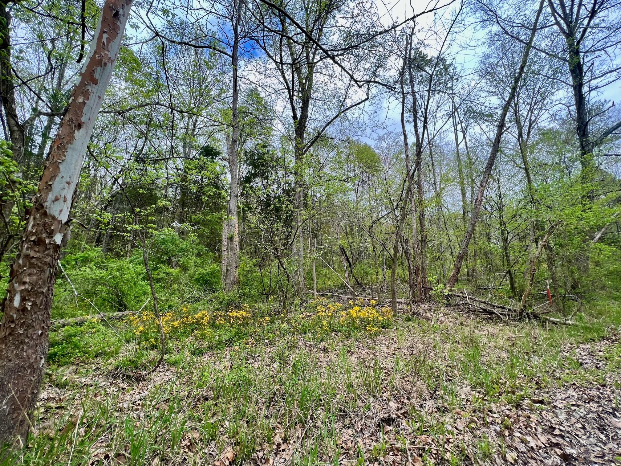 4695 East Stipp Road Bloomington, IN 47401 - Photo 3 of 22