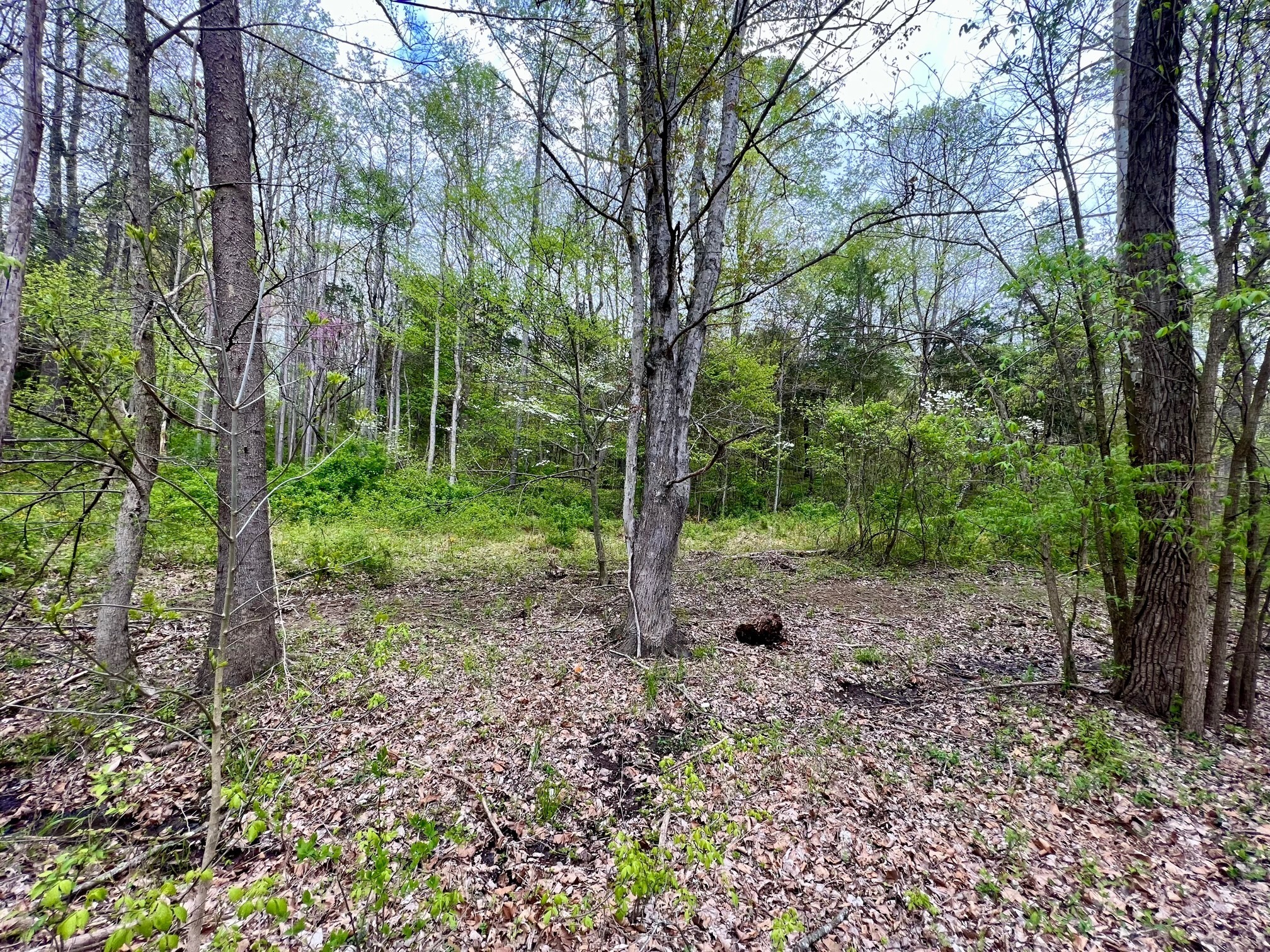 4695 East Stipp Road Bloomington, IN 47401 - Photo 5 of 22