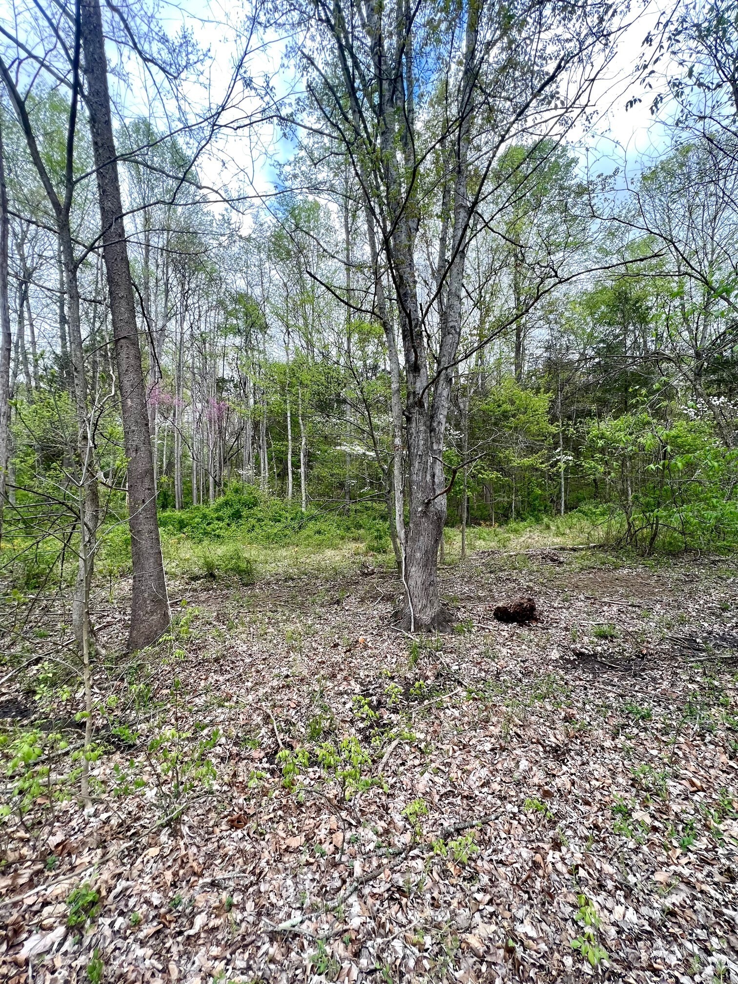 4695 East Stipp Road Bloomington, IN 47401 - Photo 6 of 22