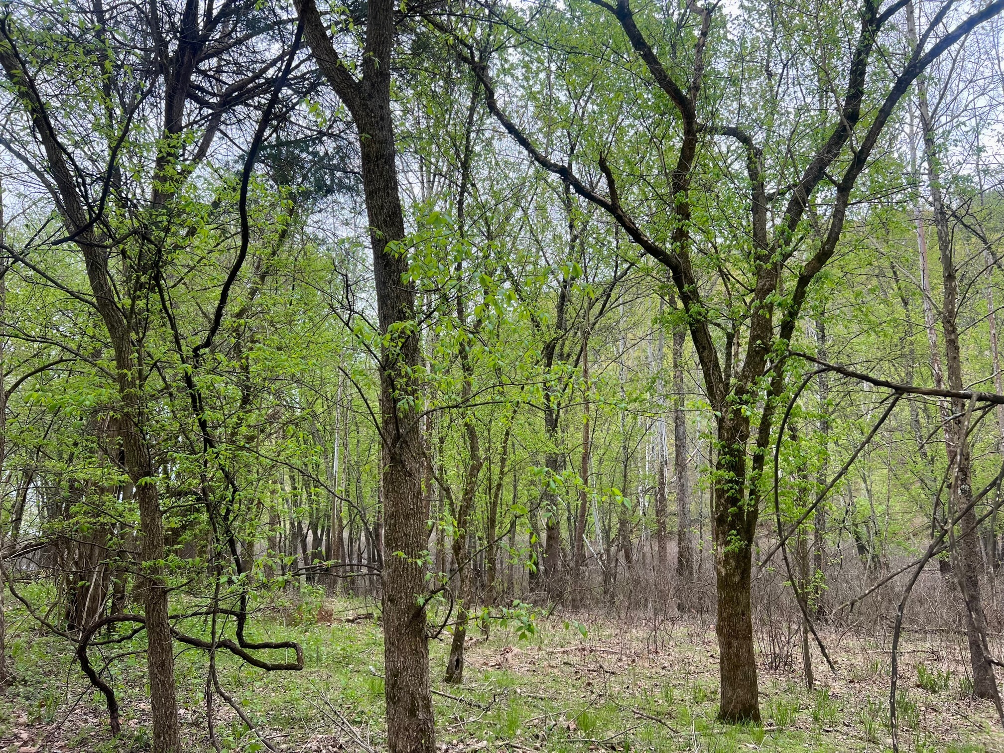 4695 East Stipp Road Bloomington, IN 47401 - Photo 7 of 22