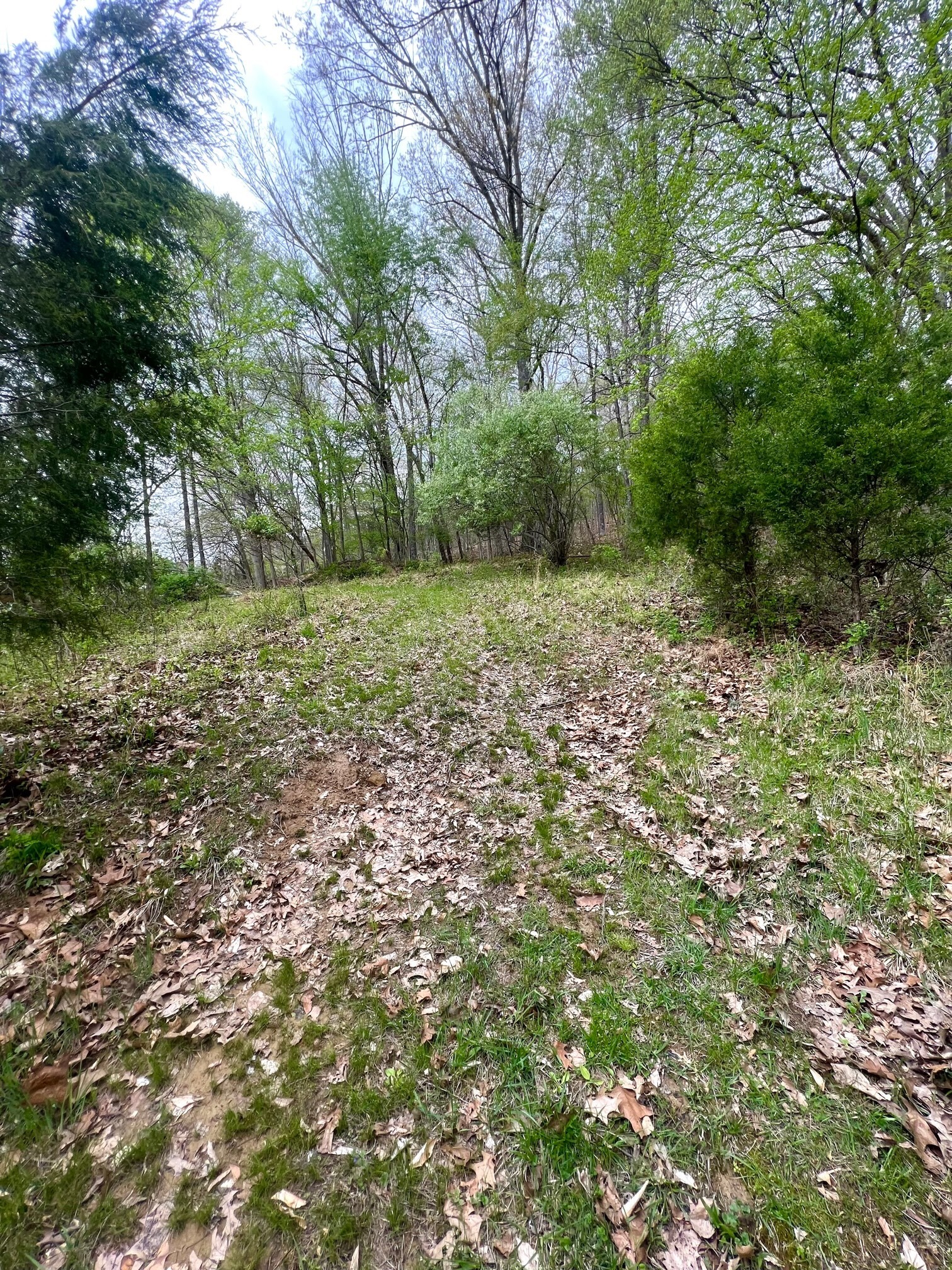 4695 East Stipp Road Bloomington, IN 47401 - Photo 9 of 22