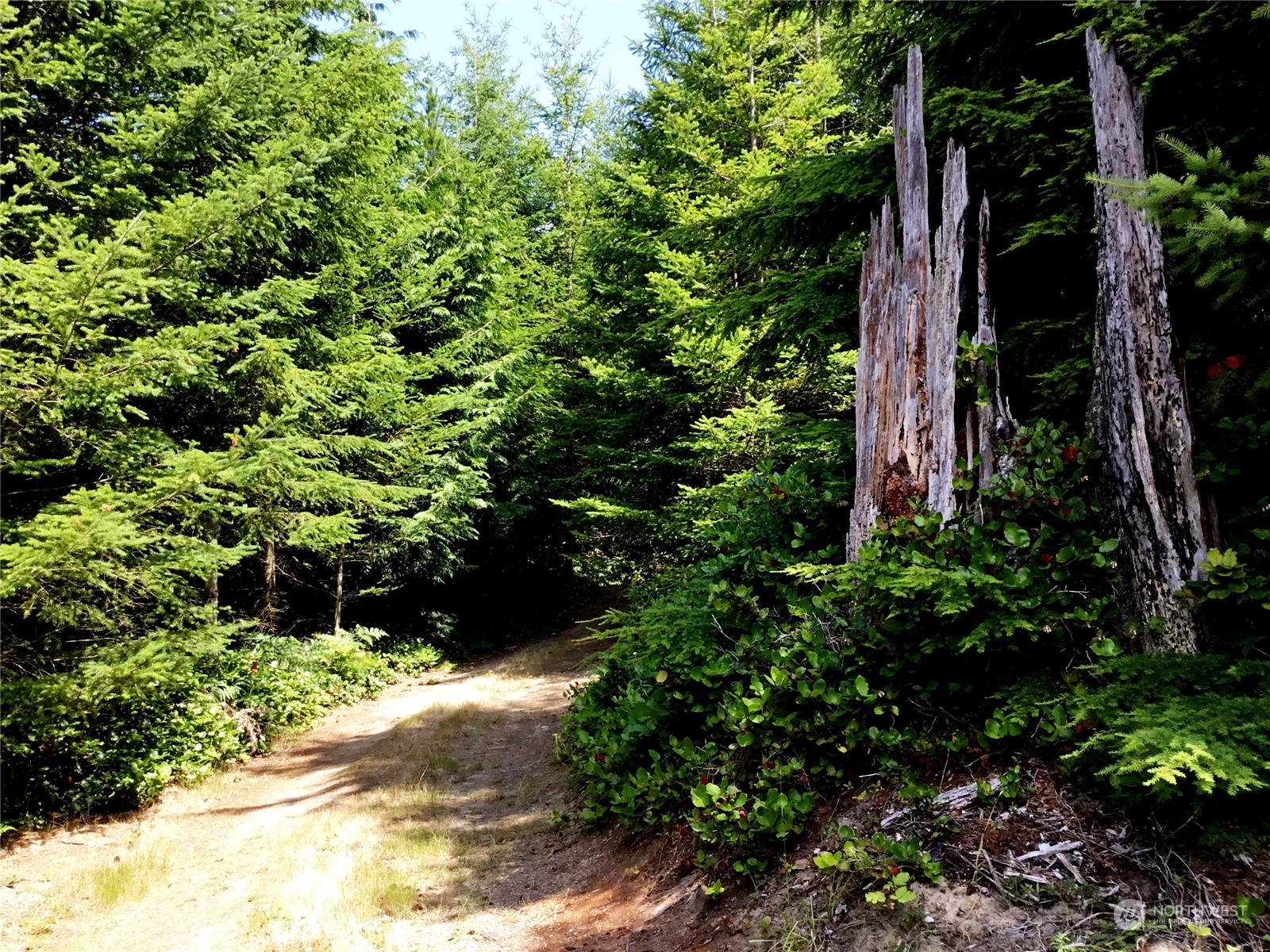 9 Rum Runner Road Lopez Island, WA 98261 - Photo 2 of 10 a view of a garden