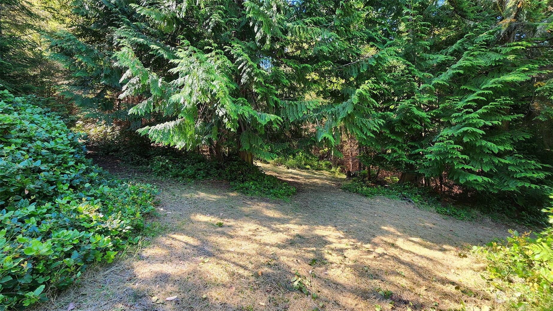 9 Rum Runner Road Lopez Island, WA 98261 - Photo 4 of 10