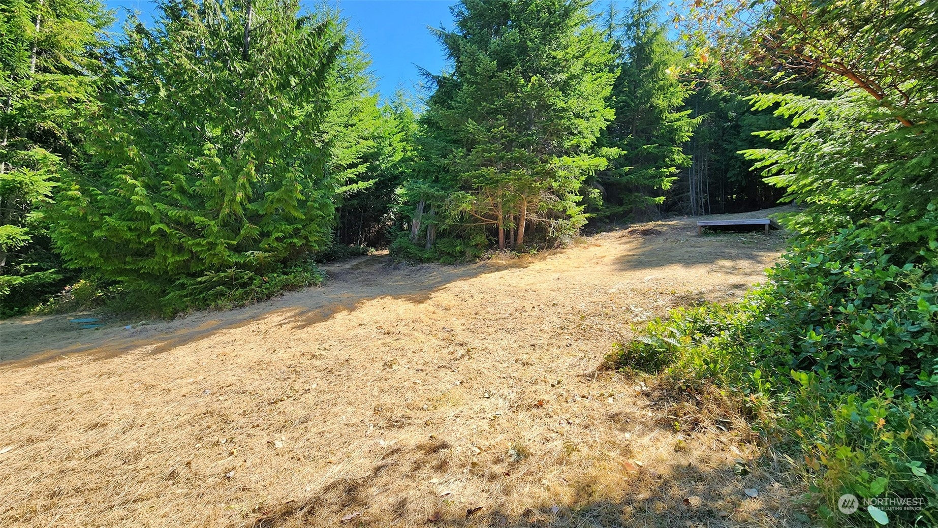 9 Rum Runner Road Lopez Island, WA 98261 - Photo 6 of 10 a view of backyard with green space