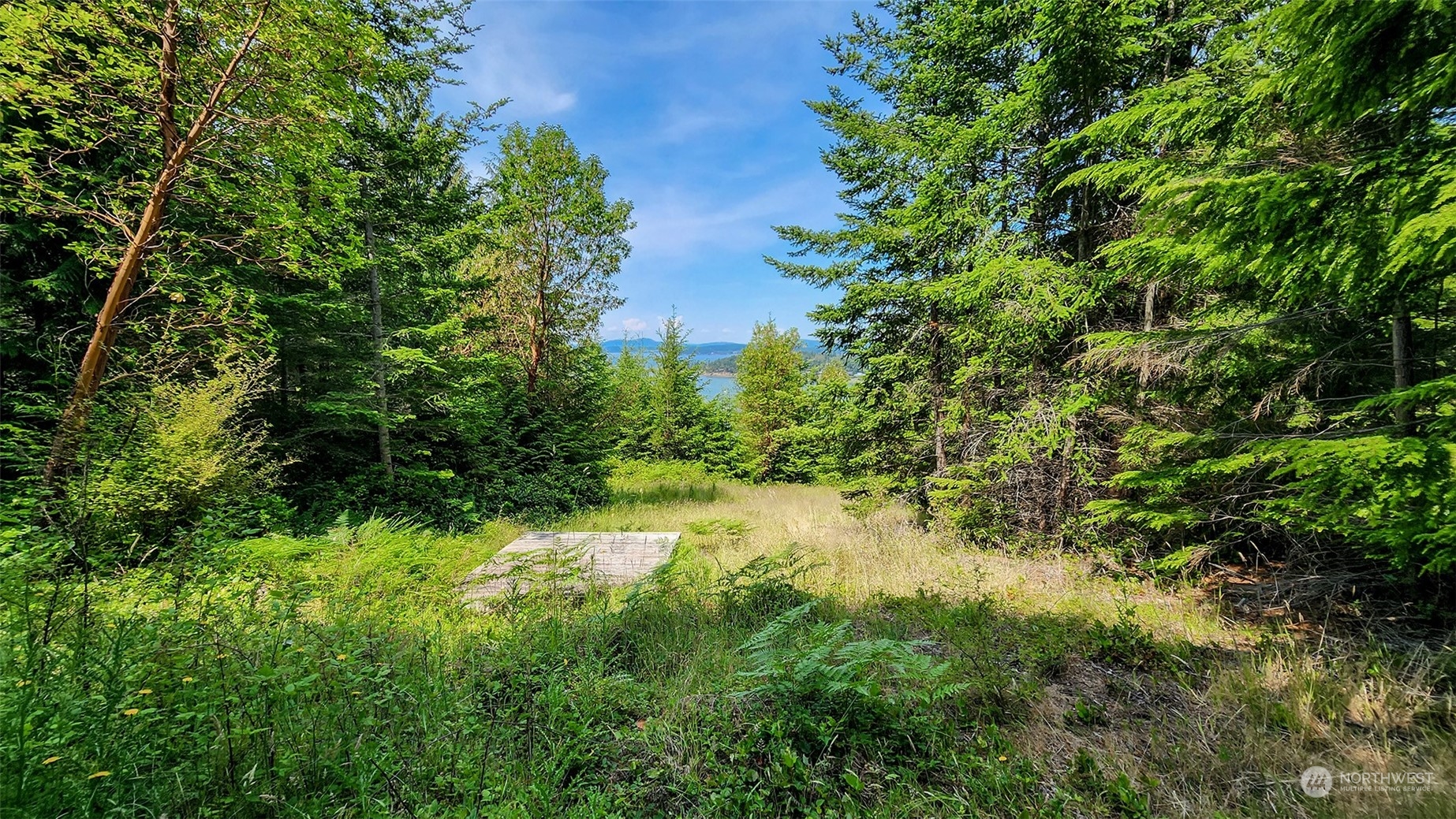 9 Rum Runner Road Lopez Island, WA 98261 - Photo 8 of 10 a view of a garden