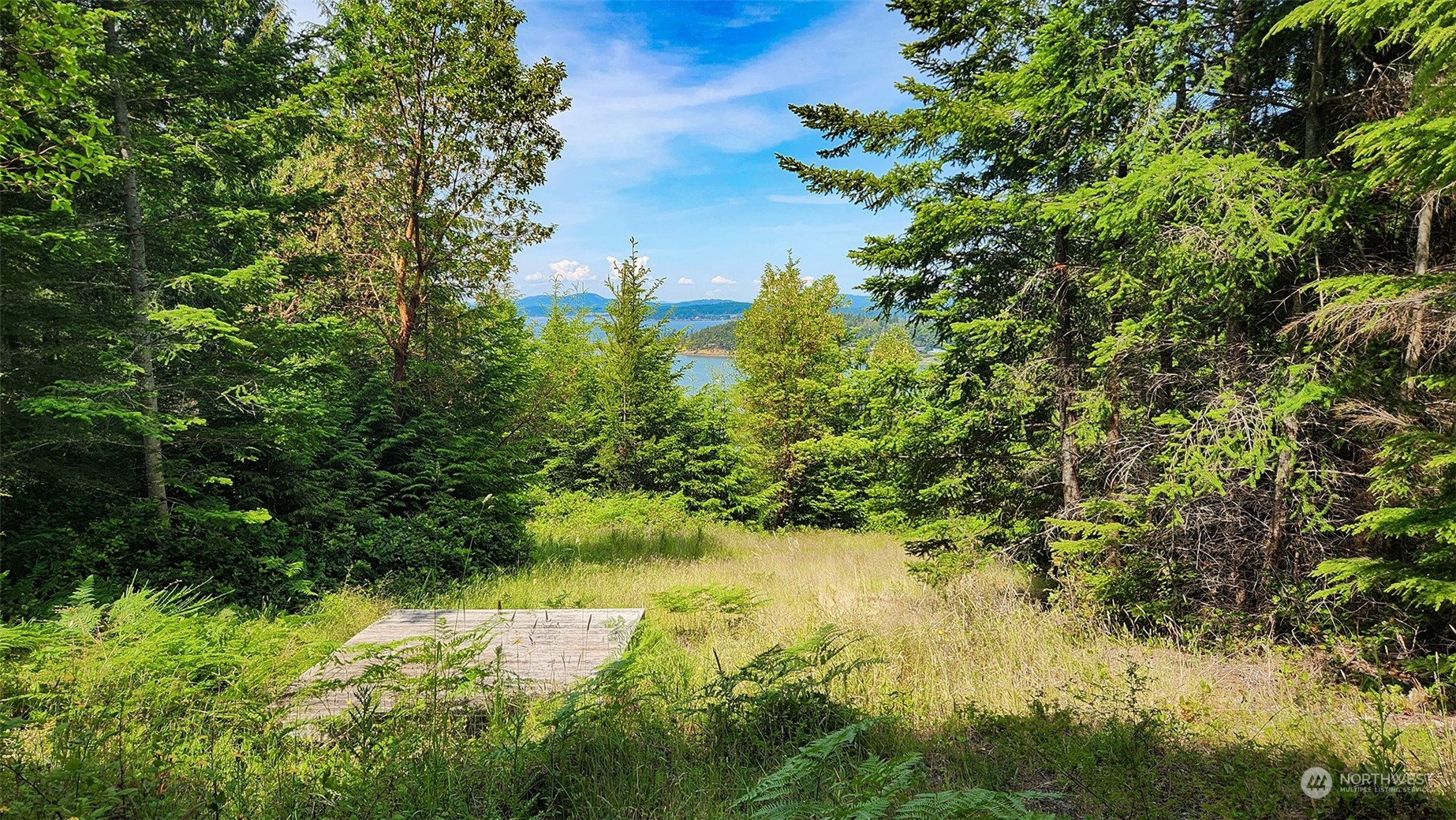 9 Rum Runner Road Lopez Island, WA 98261 - Photo 9 of 10 a view of lake with green space