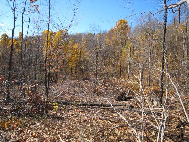 Mountain Springs Road, Unit 7 7 Alum Bank, PA 15521 - Photo 14 of 24 Gallery Image 14