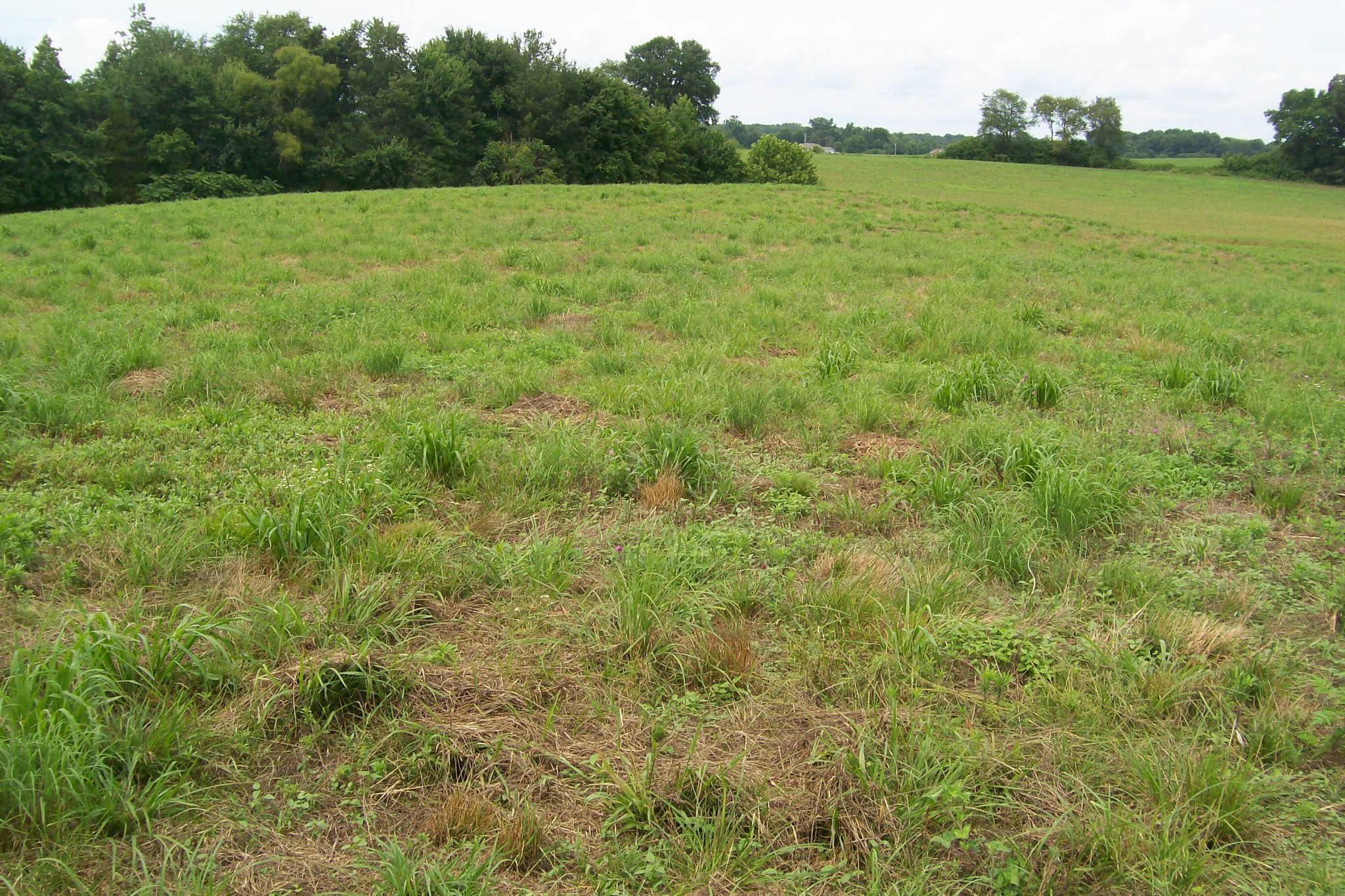 784 Horton Road Quebeck, TN 38579 - Photo 11 of 13 Gallery Image 11