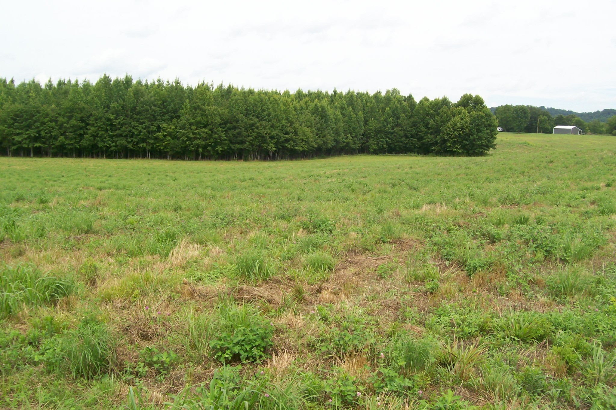 784 Horton Road Quebeck, TN 38579 - Photo 12 of 13 Gallery Image 12