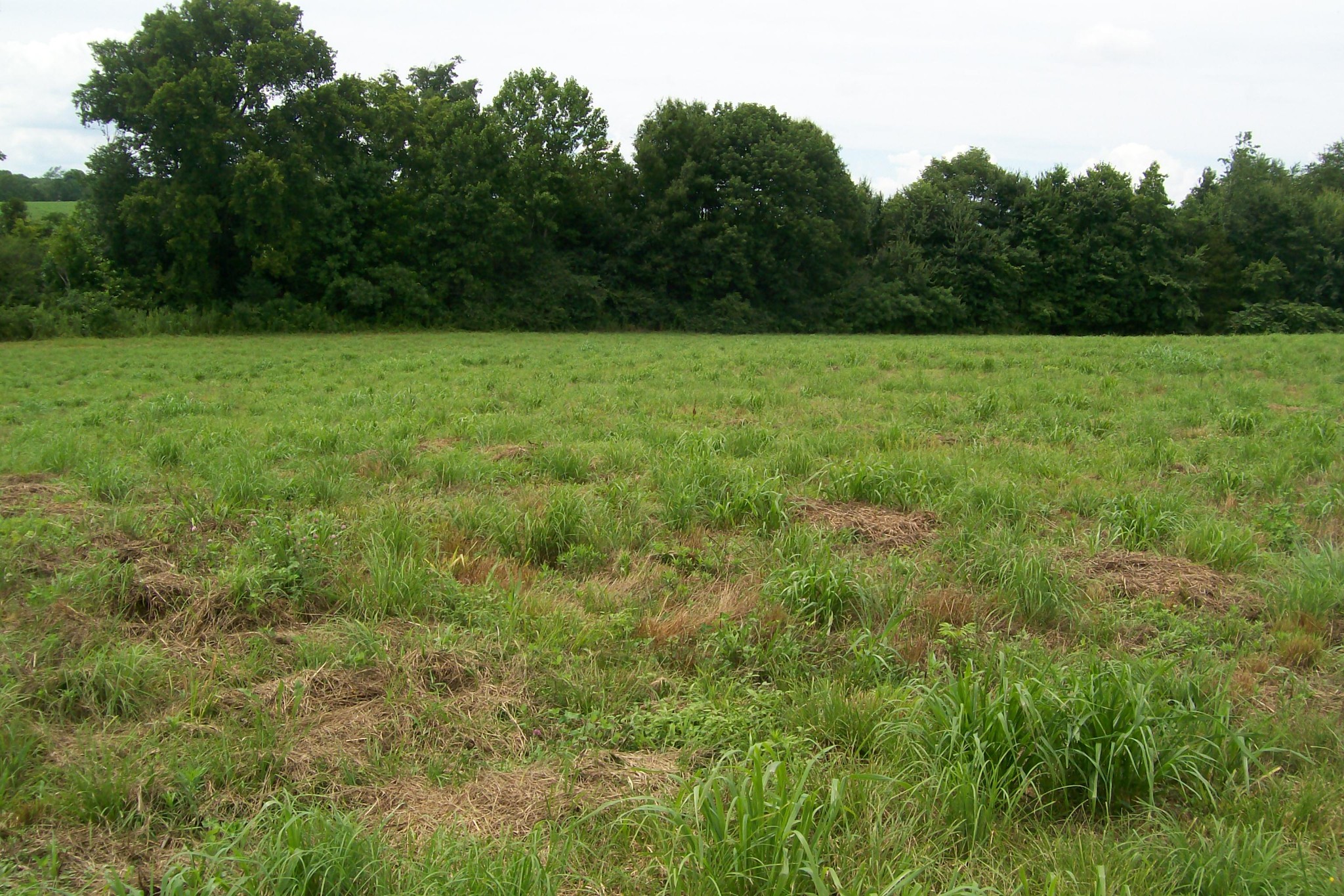 784 Horton Road Quebeck, TN 38579 - Photo 13 of 13 Gallery Image 13