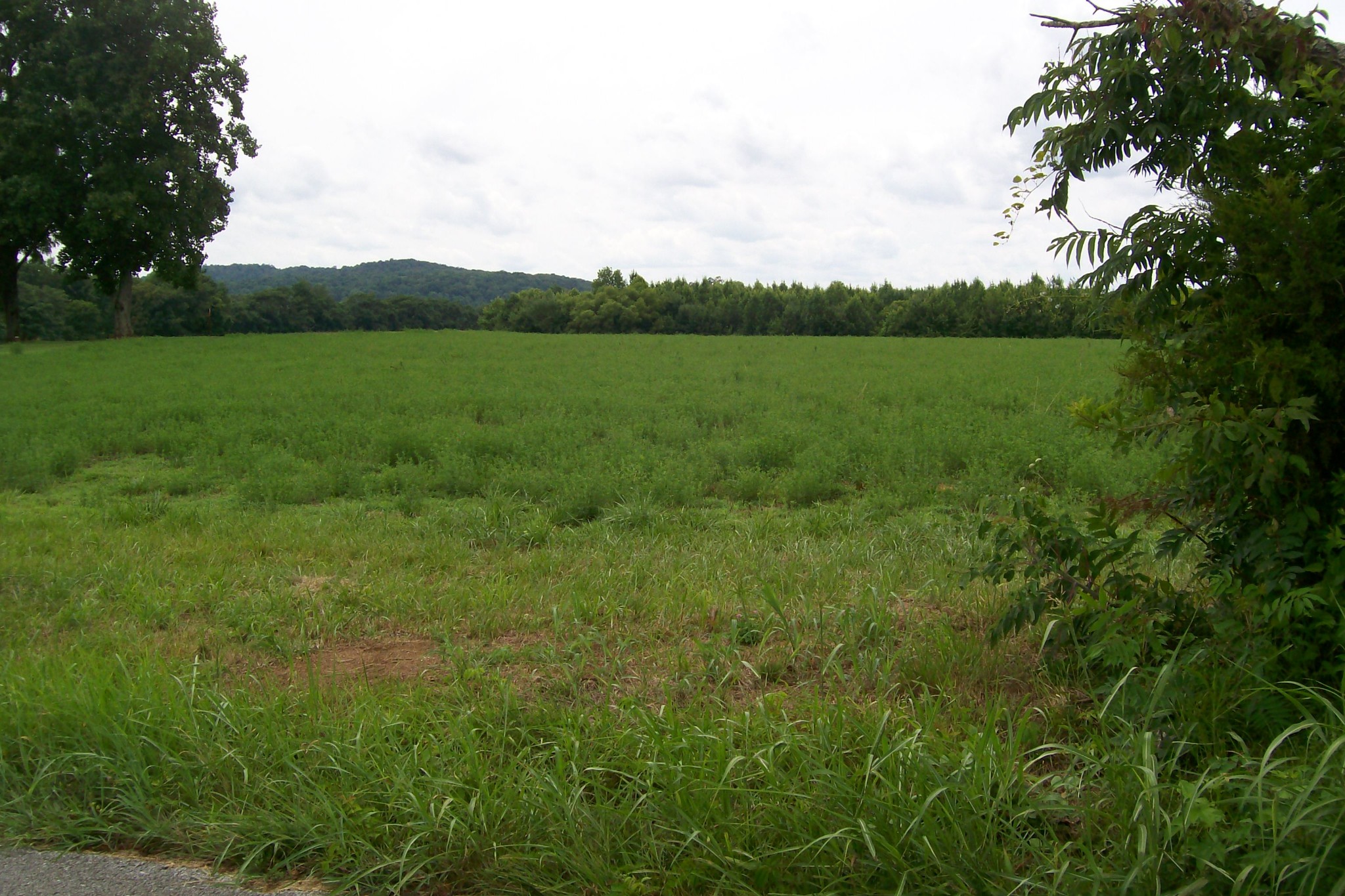 784 Horton Road Quebeck, TN 38579 - Photo 3 of 13 Gallery Image 3