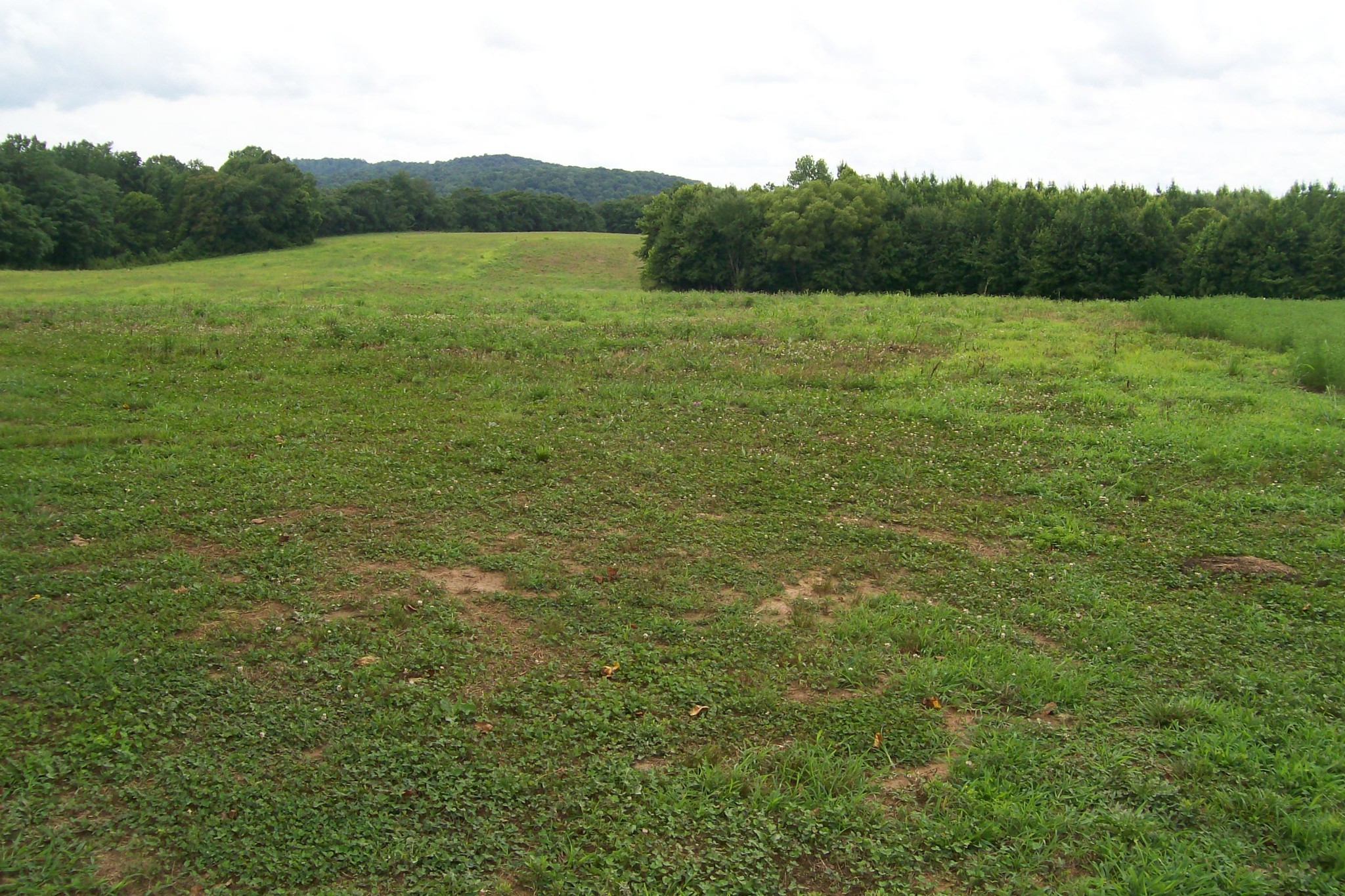 784 Horton Road Quebeck, TN 38579 - Photo 4 of 13 Gallery Image 4