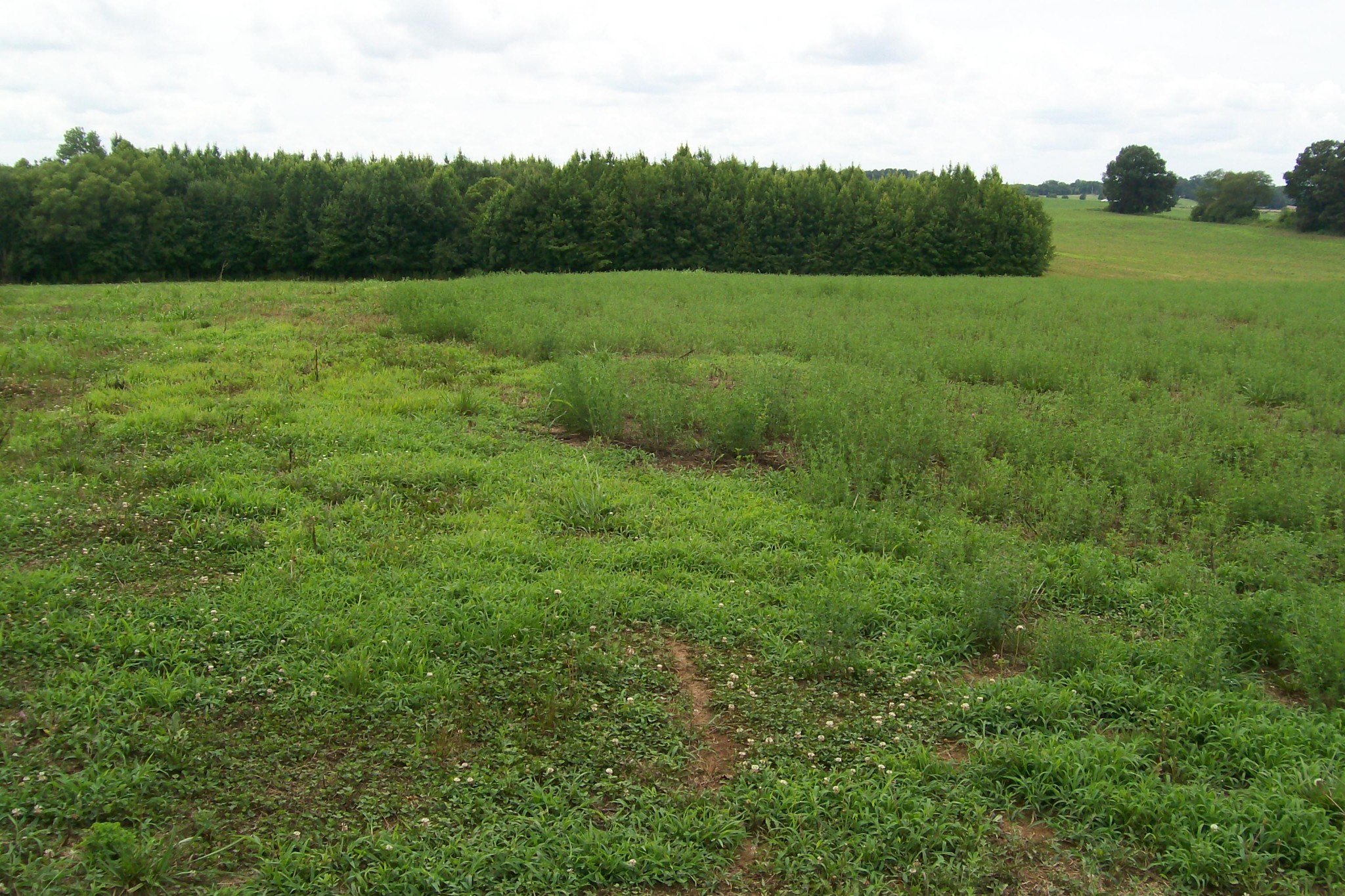 784 Horton Road Quebeck, TN 38579 - Photo 5 of 13 Gallery Image 5