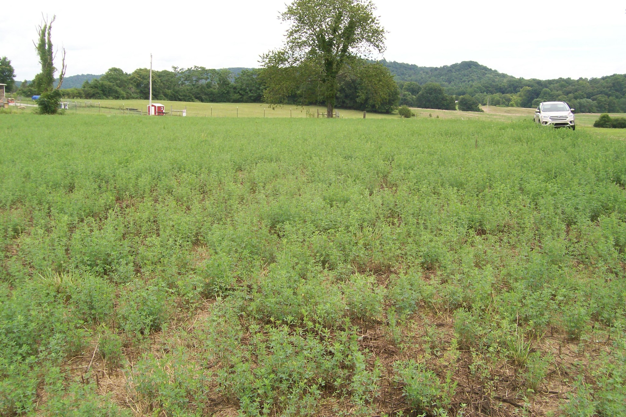 784 Horton Road Quebeck, TN 38579 - Photo 6 of 13 Gallery Image 6