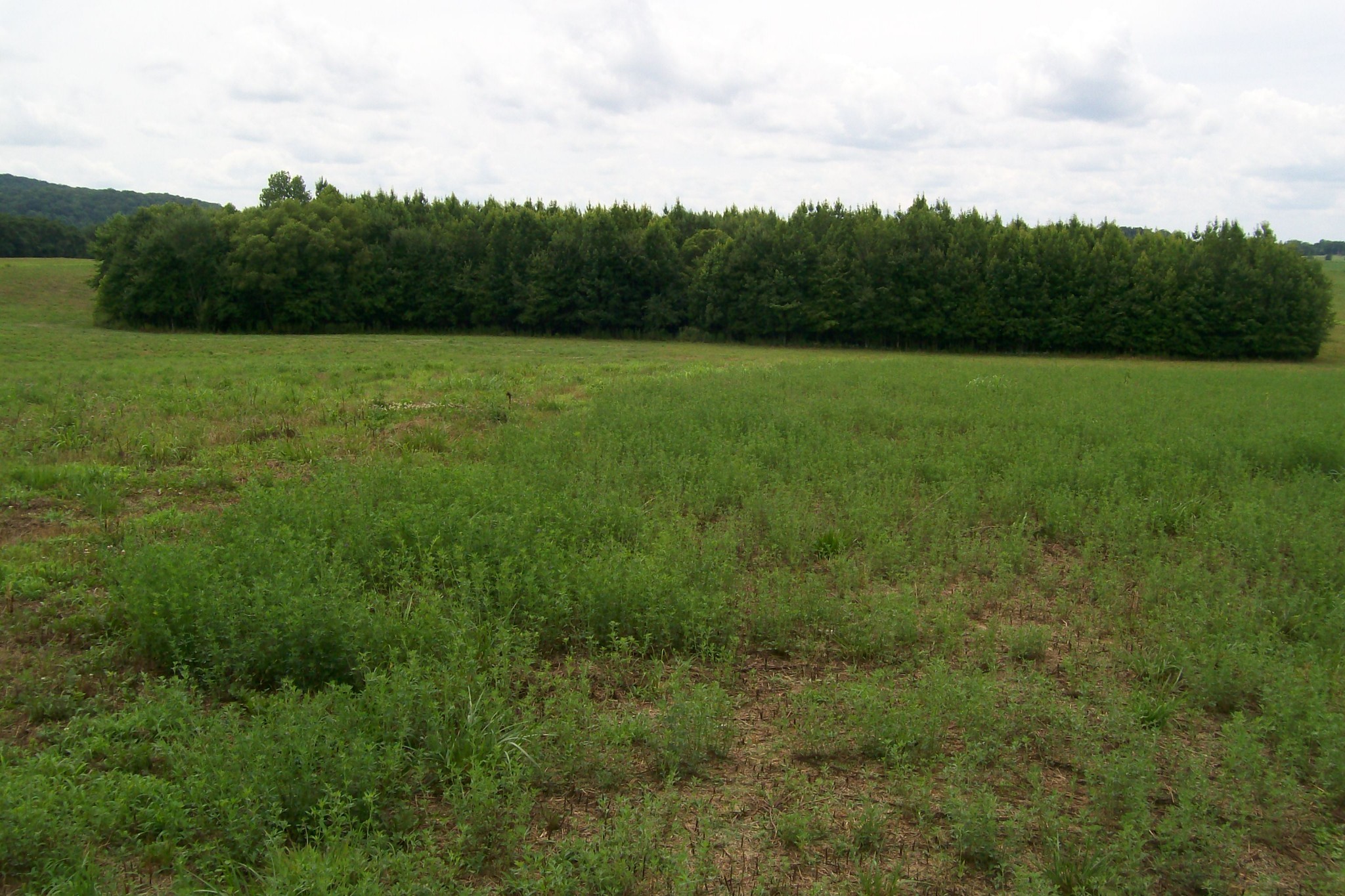 784 Horton Road Quebeck, TN 38579 - Photo 7 of 13 Gallery Image 7