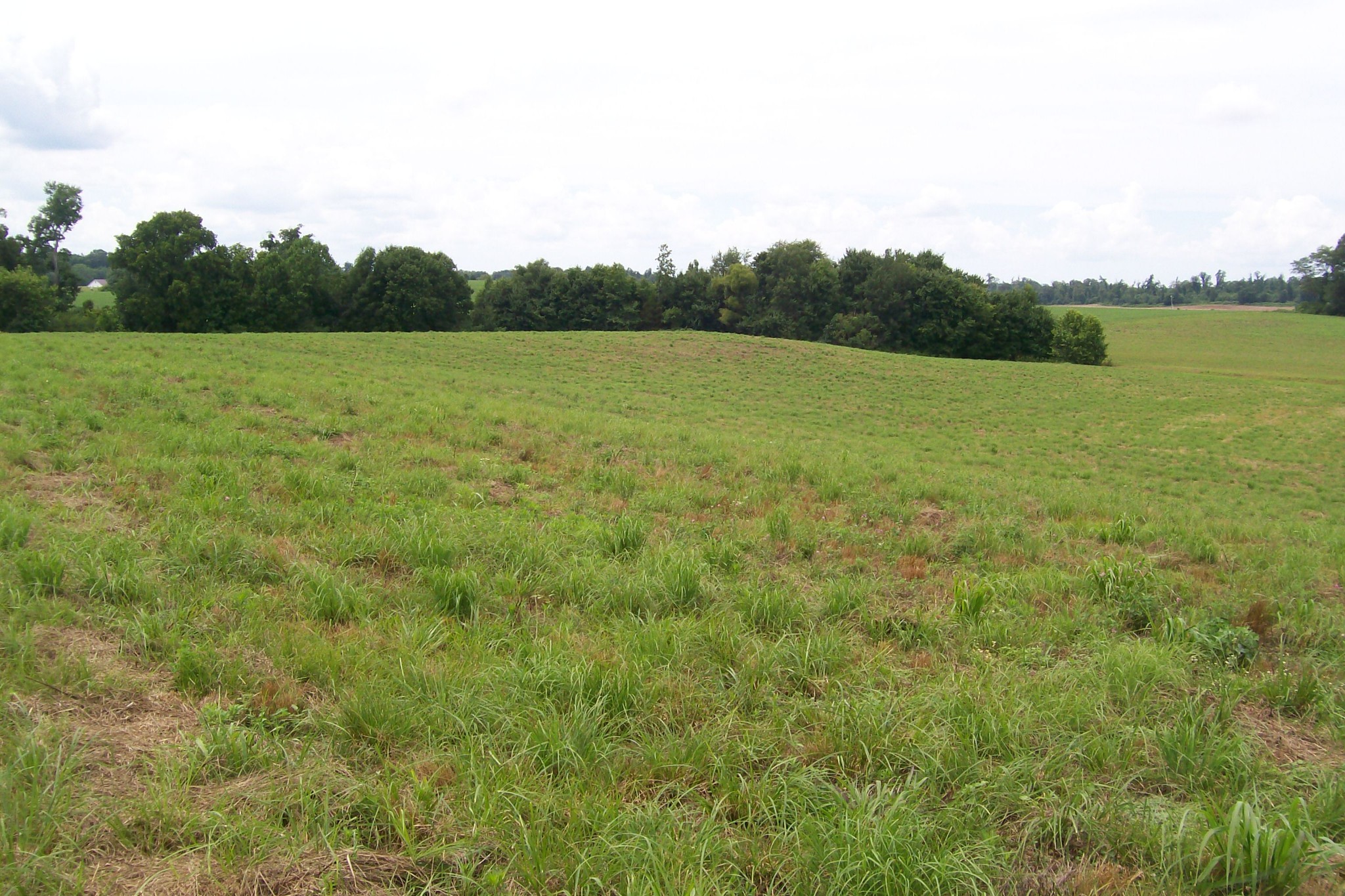 784 Horton Road Quebeck, TN 38579 - Photo 8 of 13 Gallery Image 8