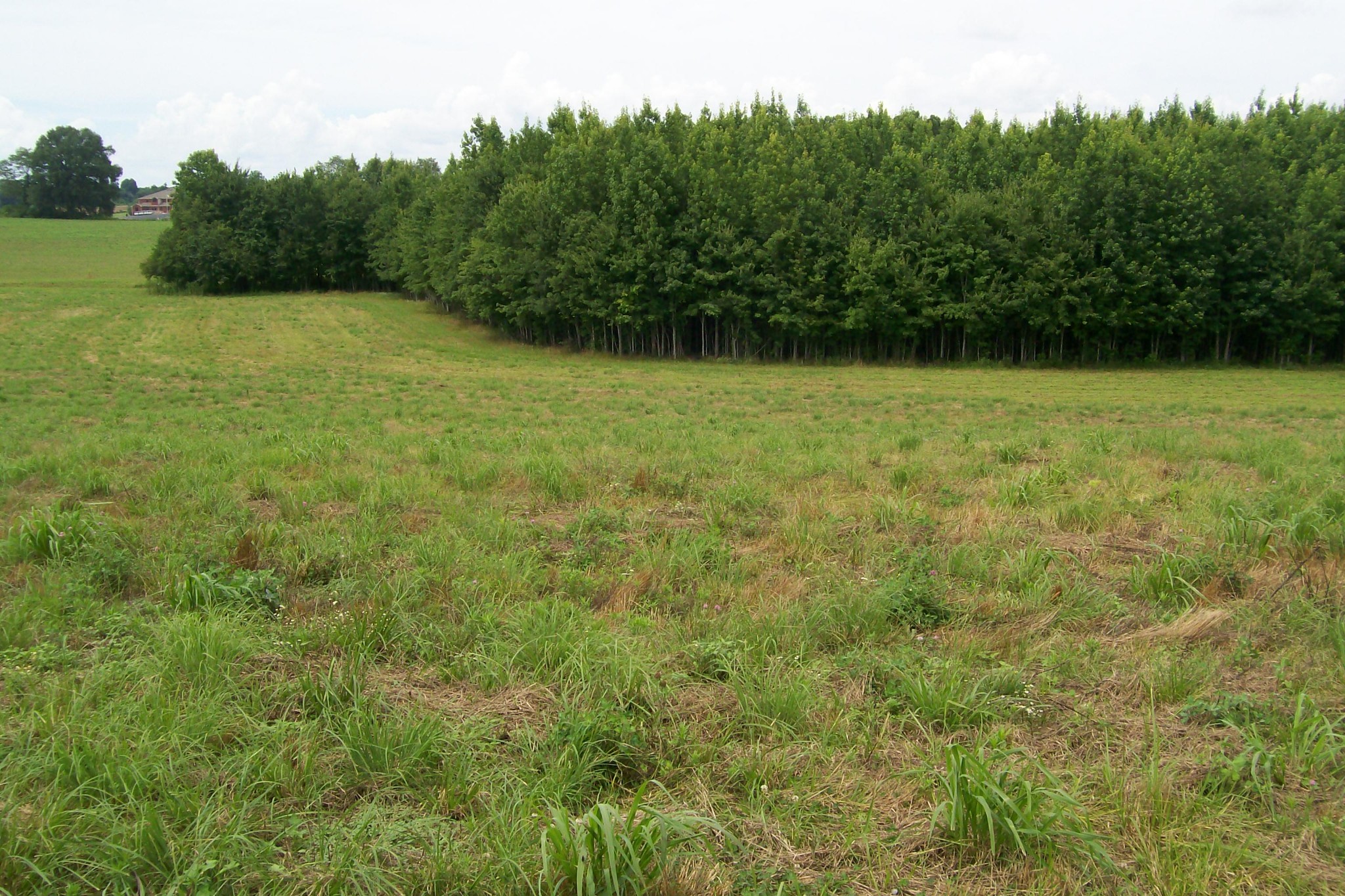 784 Horton Road Quebeck, TN 38579 - Photo 9 of 13 Gallery Image 9