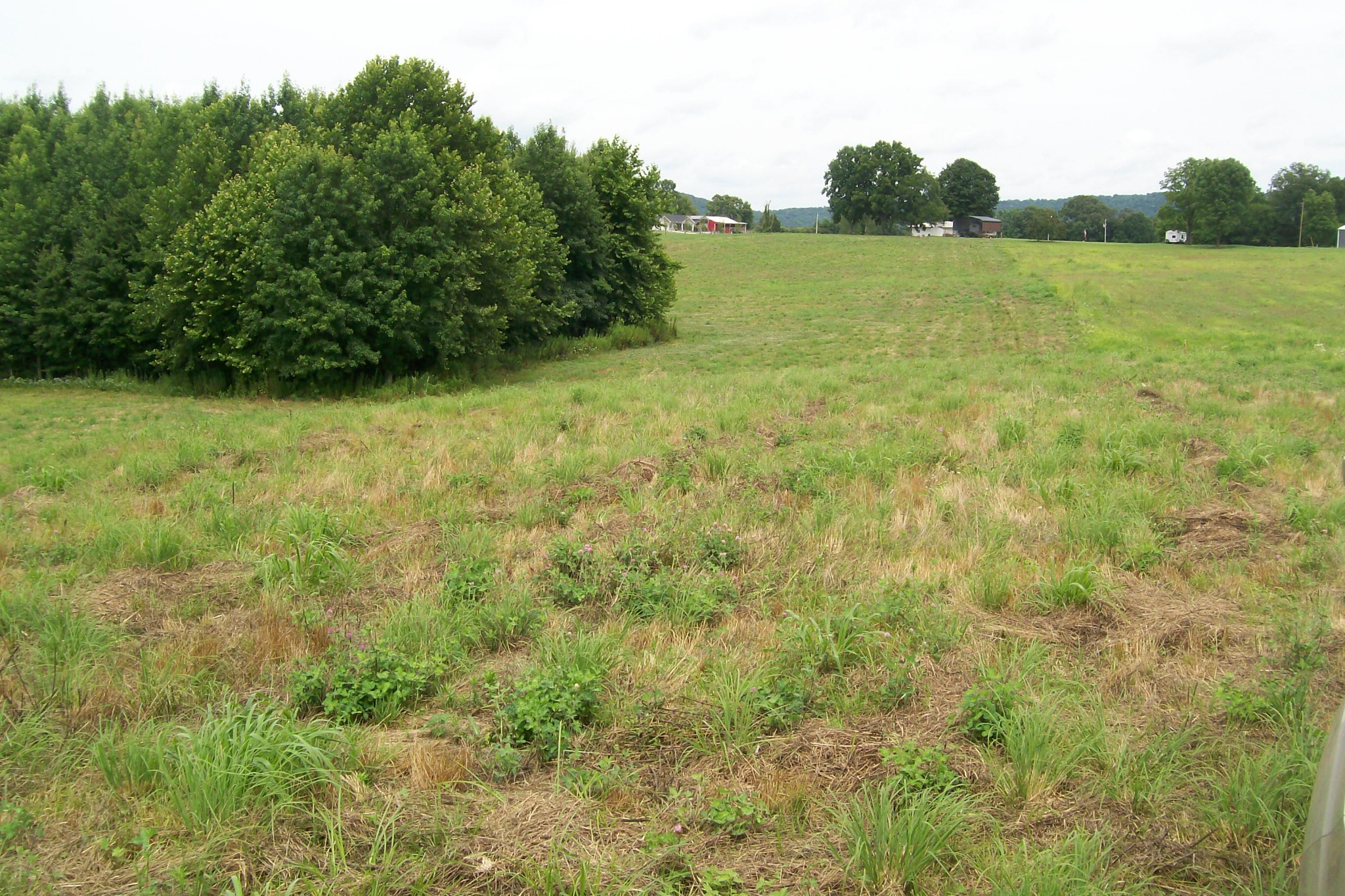 784 Horton Road Quebeck, TN 38579 - Photo 10 of 13 Gallery Image 10