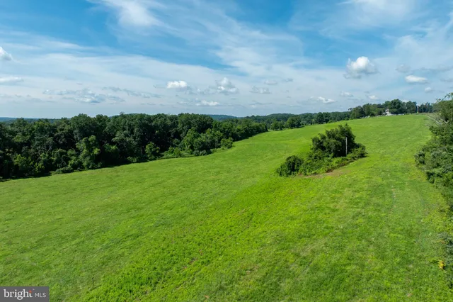 a view of a green field with lots of green space