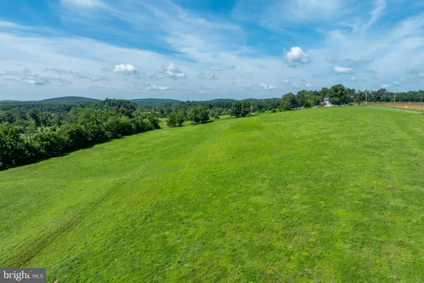 a view of a grassy field with an trees