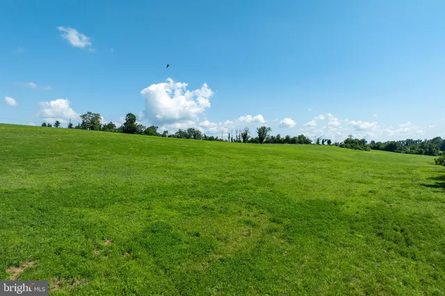 a swimming pool is middle in the grass