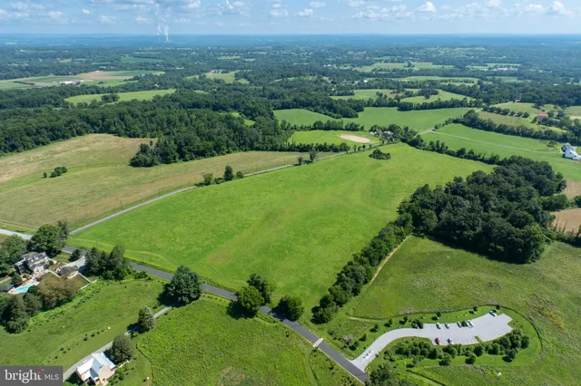 a view of a garden with an outdoor space