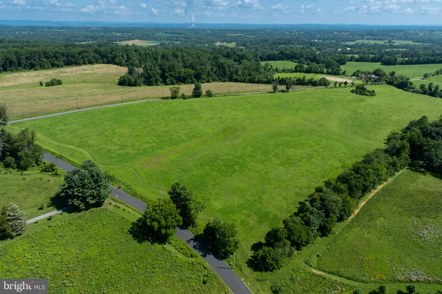 a view of a garden with an outdoor space