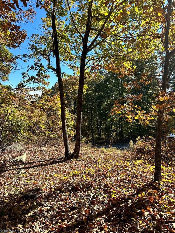 2627 Sierra Trace Road Denton, NC 27239 - Photo 2 of 9