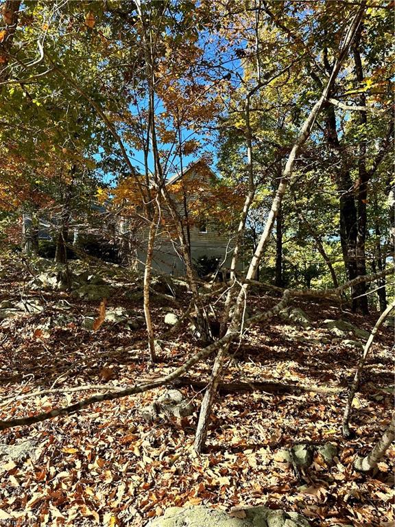 2627 Sierra Trace Road Denton, NC 27239 - Photo 3 of 9