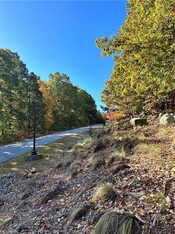 2627 Sierra Trace Road Denton, NC 27239 - Photo 5 of 9