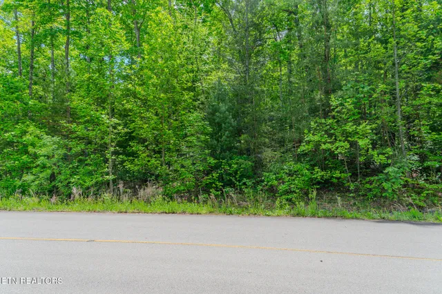 $84,800 | Lot 34 Long Rifle Road, Walland, TN 37886