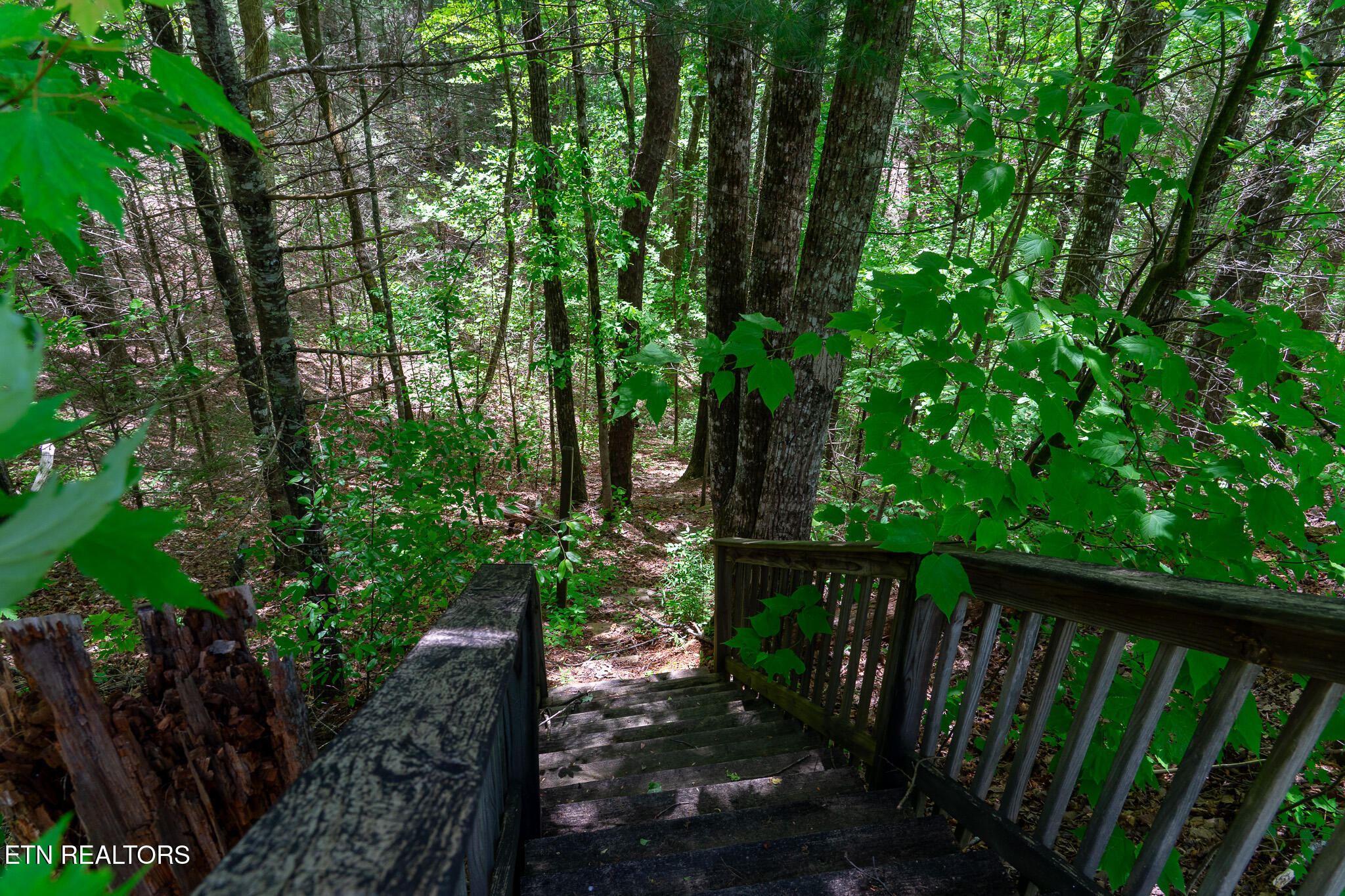 Lot 34 Long Rifle Road Walland, TN 37886 - Photo 15 of 15 DSC06086